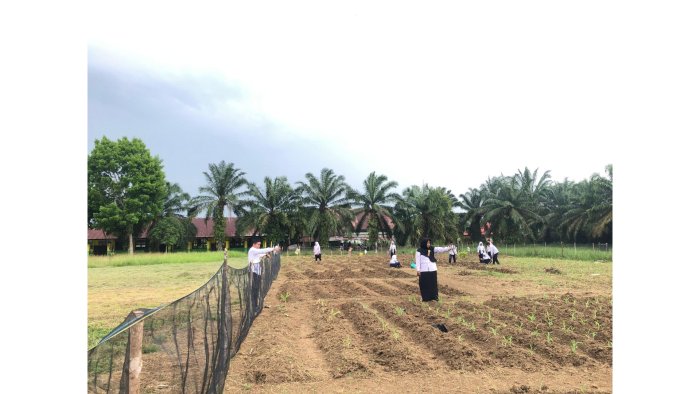 Siswa MTsNegeri 2 Tebo Tanam Nilai Cinta Lingkungan Lewat Kegiatan Berkebun
