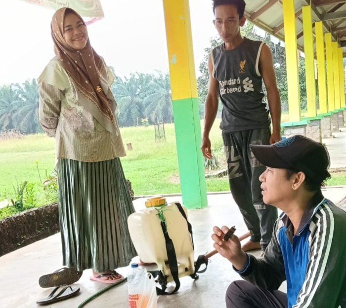 Staf TU MTs  Negeri 2 Tebo Kembali Masuk Sekolah dan Lakukan Bersih-Bersih Lingkungan